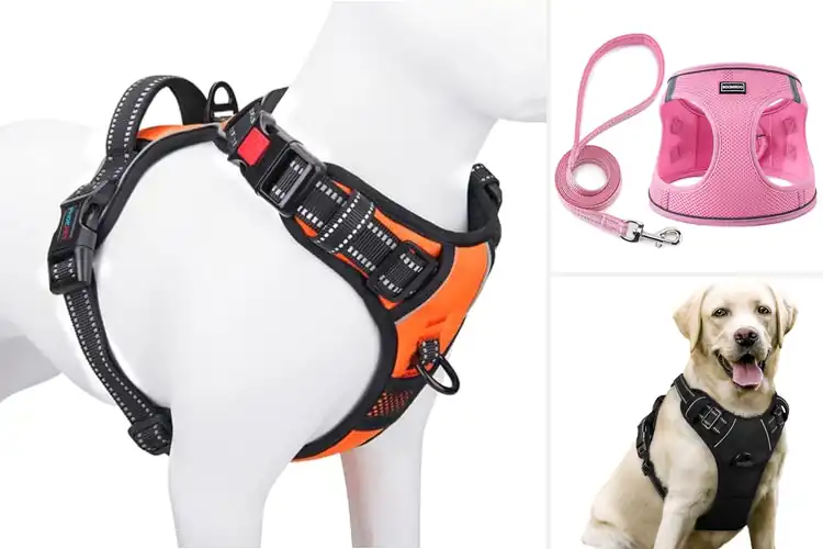Detailed view of Best Adjustable Harnesses