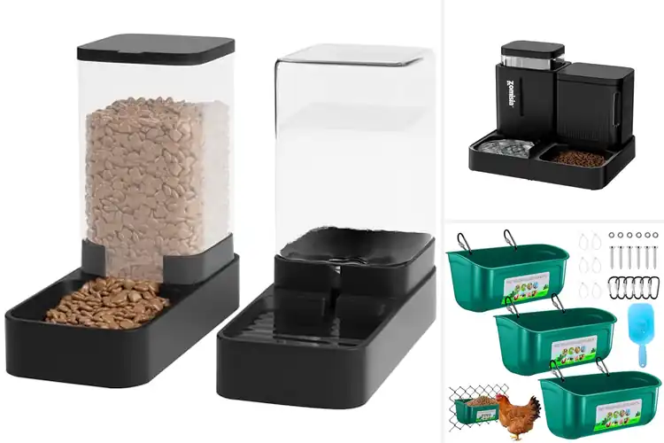 Detailed view of Best Animal Feeders: Top Picks to Keep Pets Healthy
