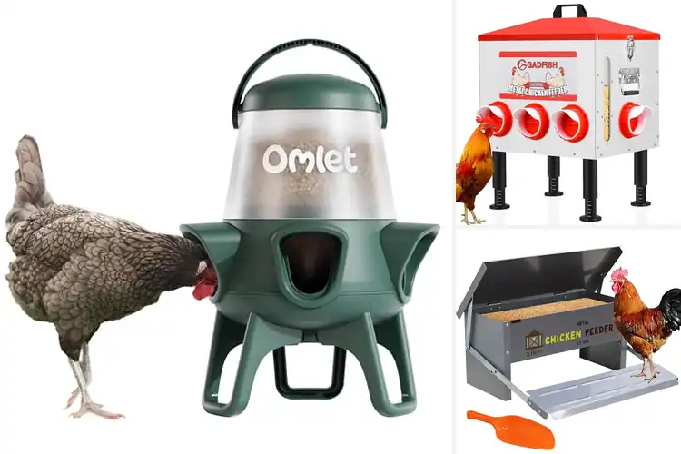 Detailed view of Best Anti Waste Feeders: Top 10 Picks for Happy Poultry