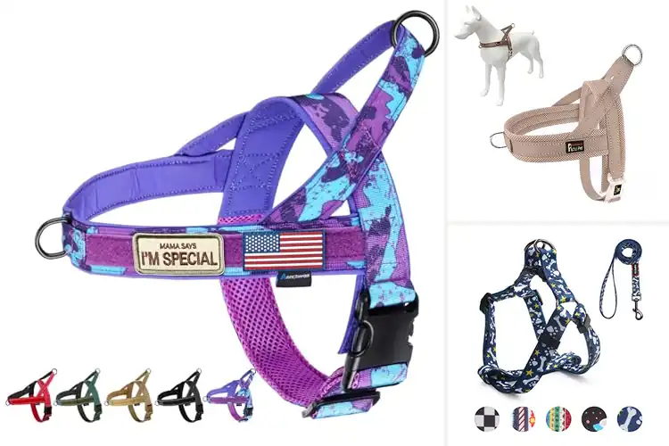 Detailed view of Best Back Clip Harnesses