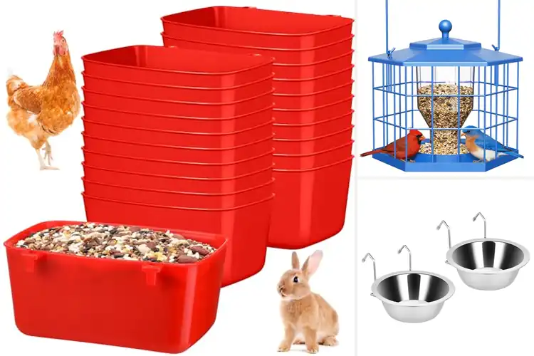 Detailed view of Best Cage Feeders for Easy, Stress‑Free Pet Care