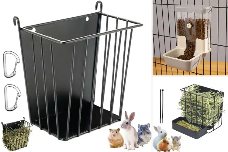 Detailed view of Best Chinchilla Feeders
