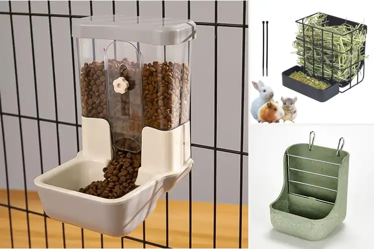 Detailed view of Best Chinchillas Food Feeders: Easy & Durable Picks