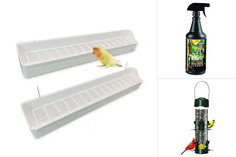 Detailed view of Best Clean Feeding Solutions