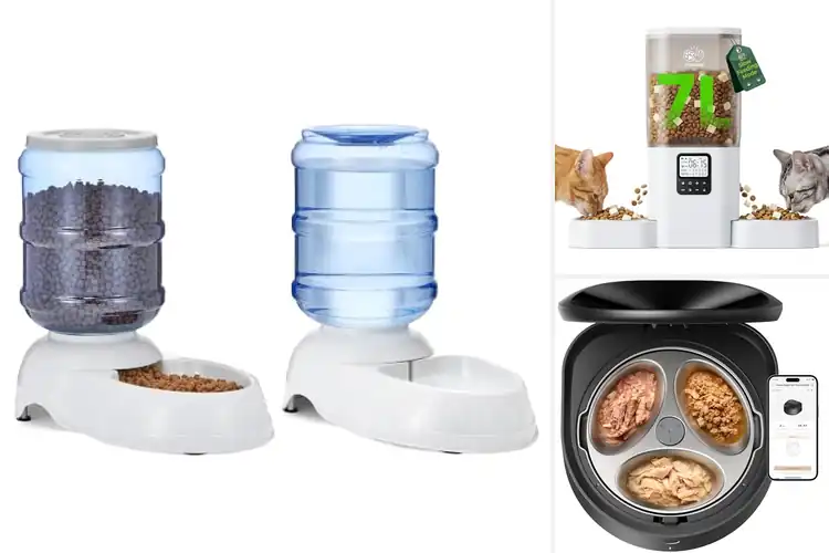 Detailed view of Best Clean Food Feeders: Top Picks for Healthy Pets