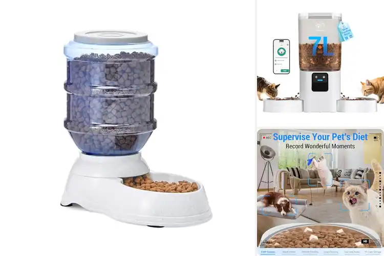 Detailed view of Best Easy Clean Food Feeders: 10 Smart Picks