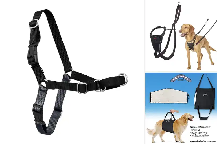 Detailed view of Best Easy-to-Use Harnesses: Walk Your Dog Stress-Free
