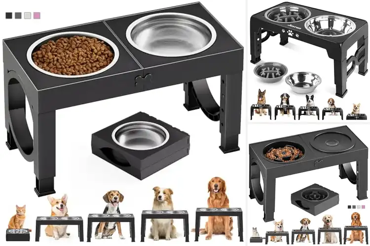 Detailed view of Best Elevated Feeders: Top 10 Picks for Your Dog’s Comfort
