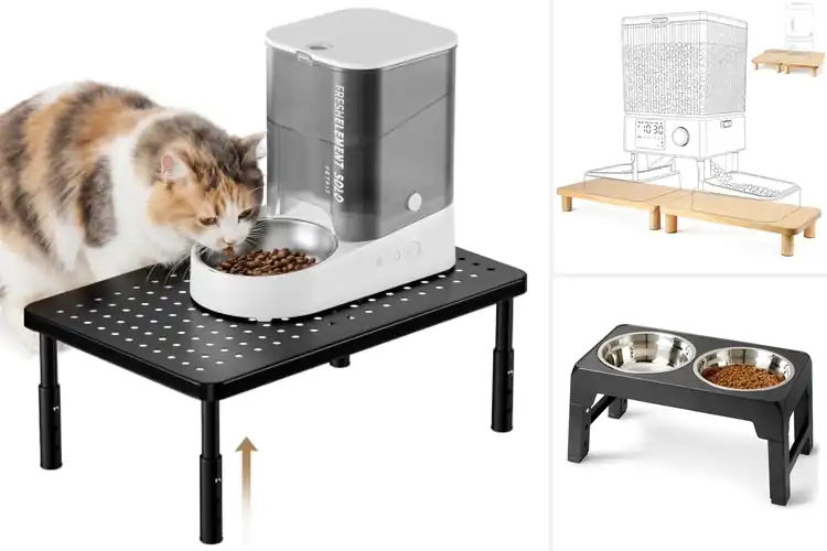 Detailed view of Best Elevated Small Animal Feeders