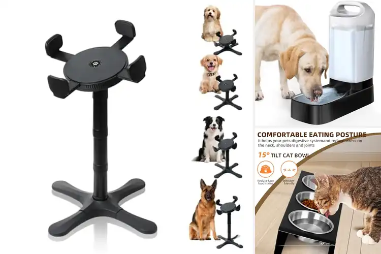 Detailed view of Best Ergonomic Pet Feeders