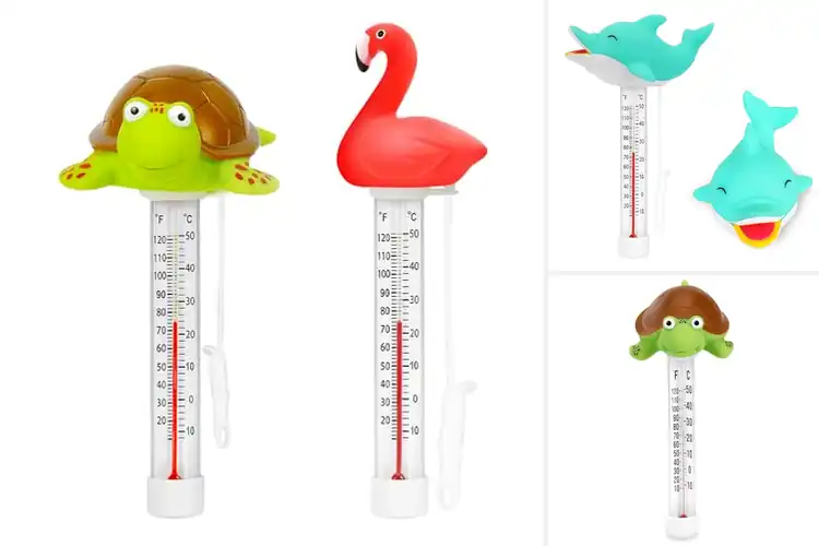 Detailed view of Best Floating Pool Thermometers