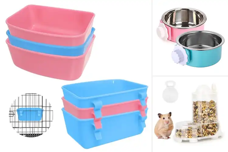 Detailed view of Best Food Feeders For Small Animals