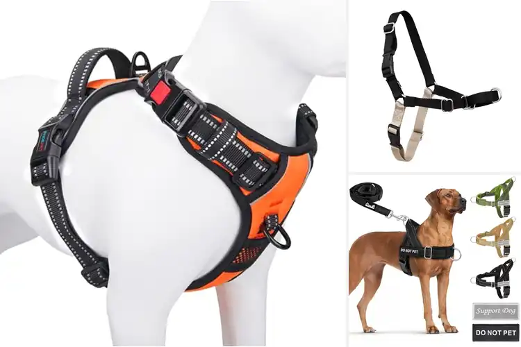 Detailed view of Best Front Clip Harnesses: Top Picks for Comfort & Control