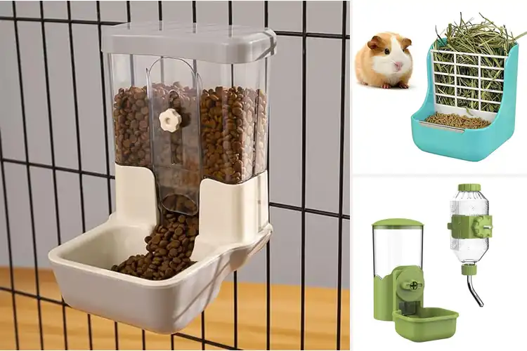 Detailed view of Best Guinea Pig Food Feeders