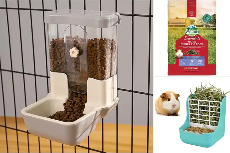 Detailed view of Best Guinea Pig Pellet Feeders