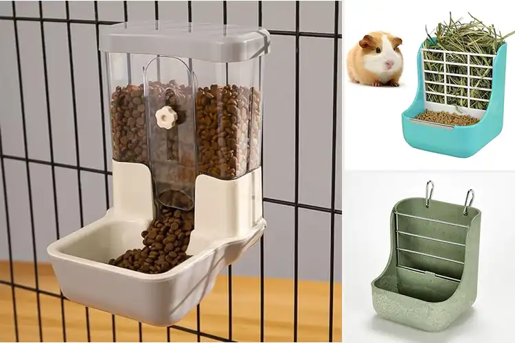 Detailed view of Best Guinea Pigs Food Feeders
