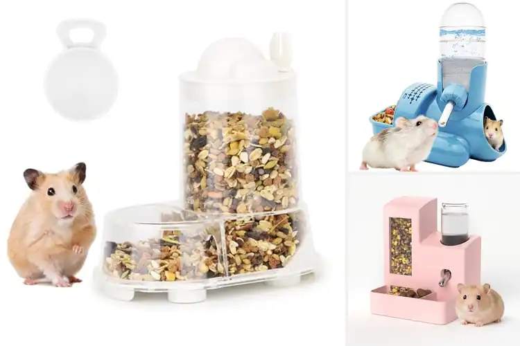 Detailed view of Best Hamster Feeders: 10 Top Picks for Happy, Healthy Pets