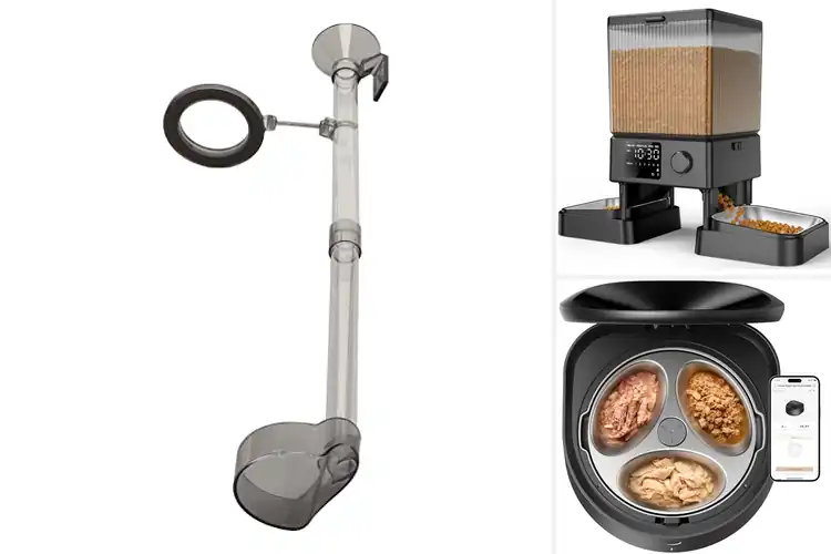 Detailed view of Best Hygienic Feeders: Top 10 Clean & Spill-Free Picks