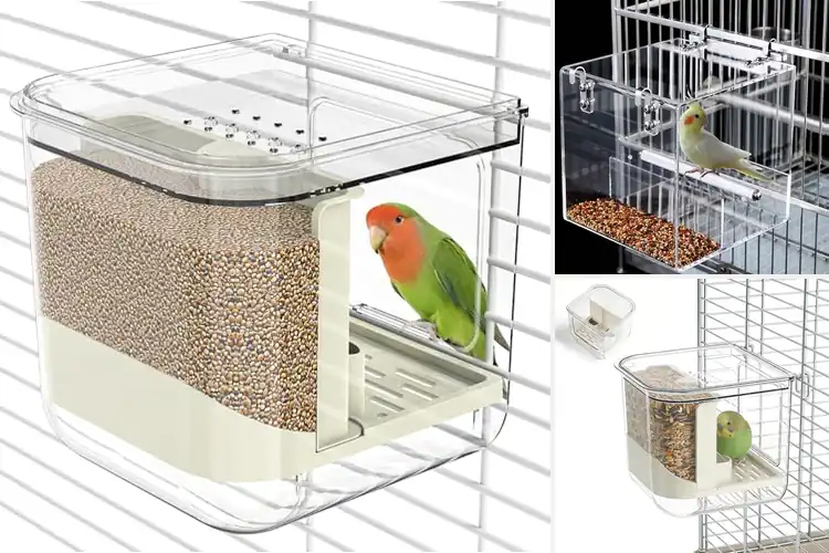 Detailed view of Best Mess Free Cage Feeders