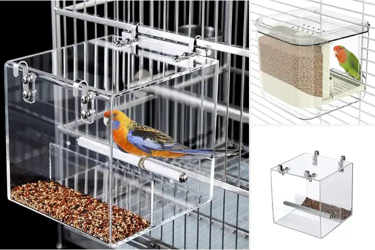 Detailed view of Best Mess-Free Feeders: Top 10 Picks for a Clean Cage