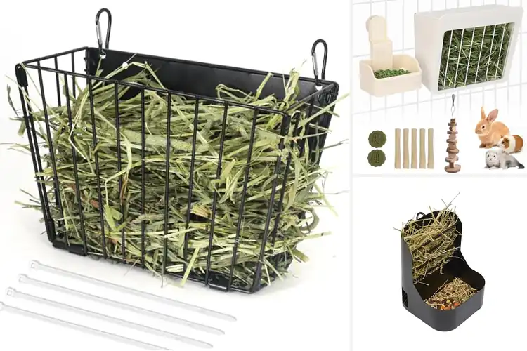 Detailed view of Best Mess Free Guinea Pig Feeders