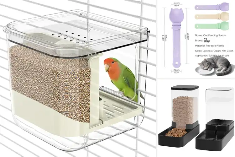 Detailed view of Best Mess-Free Pet Feeders: Top 10 Clean & Easy Solutions