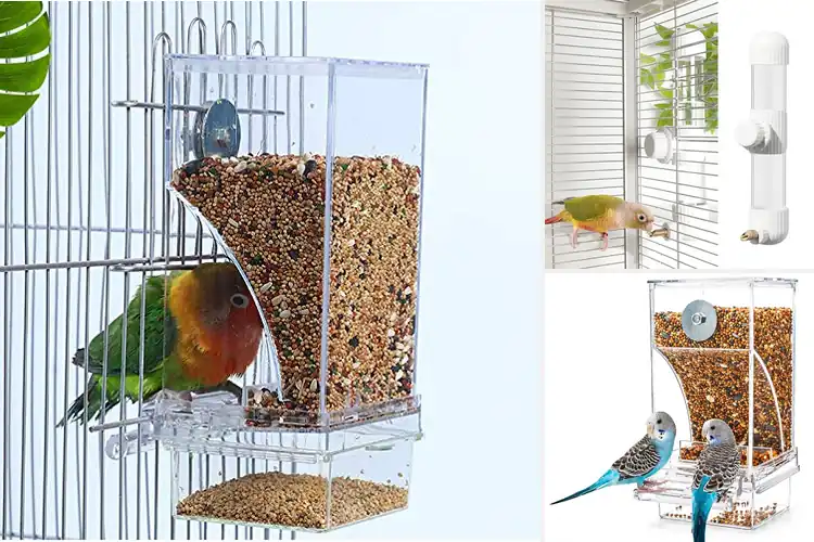 Detailed view of Best Mess Free Small Animal Feeders