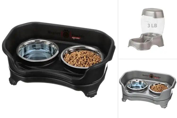 Detailed view of Best Mess Free Small Pet Feeders