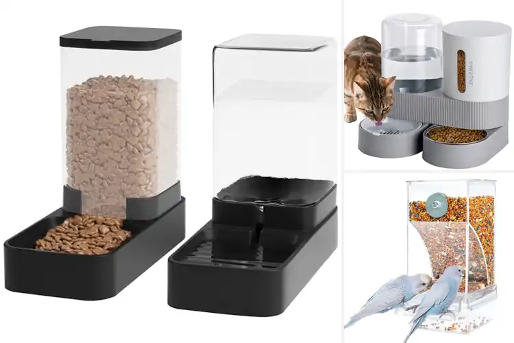 Detailed view of Best No Mess Pet Feeders