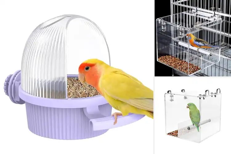 Detailed view of Best No Mess Small Animal Feeders: No Spills, Easy Cleanup