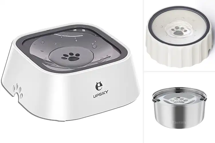 Detailed view of Best No Spill Pet Feeders: Top Picks for a Cleaner Home