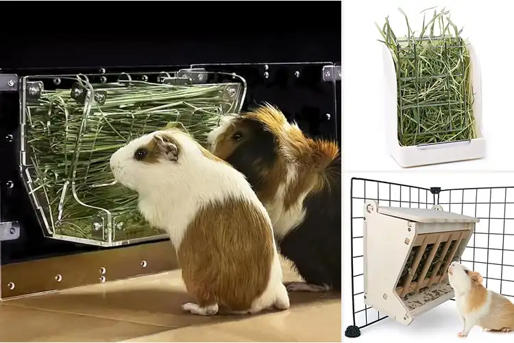 Detailed view of Best No Waste Guinea Pig Feeders