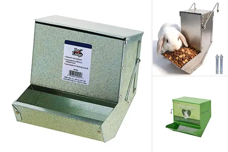 Detailed view of Best Non Knockover Small Animal Feeders