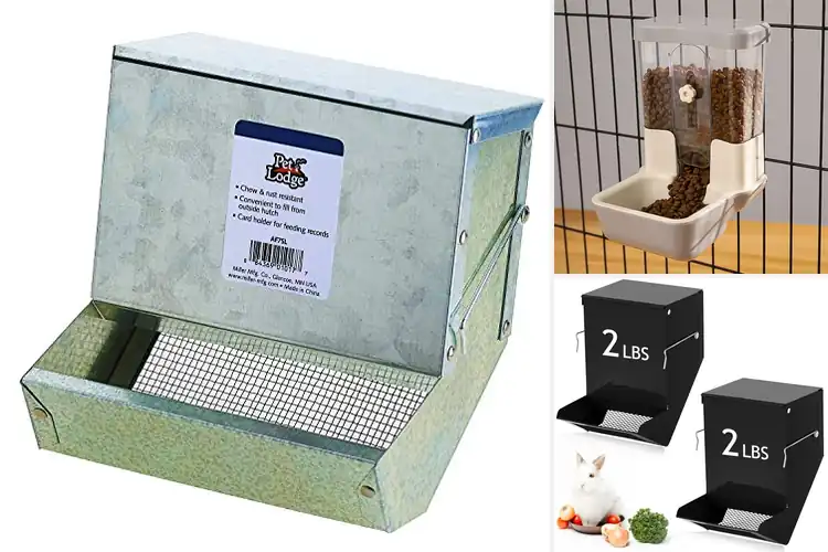 Detailed view of Best Pellet Feeders