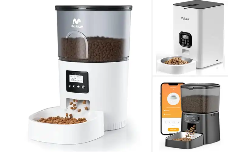Detailed view of Best Portion Control Feeders: Keep Pets Healthy & Happy