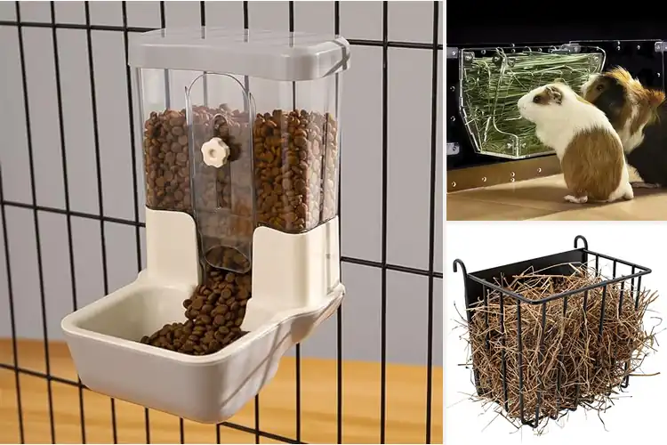 Detailed view of Best Portion Control Guinea Pig Feeders