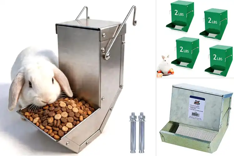 Detailed view of Best Rabbit Feeders: 10 Top Picks for Happy, Healthy Bunnies