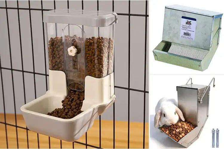 Detailed view of Best Rabbits Food Feeders: Top 10 Smart Picks