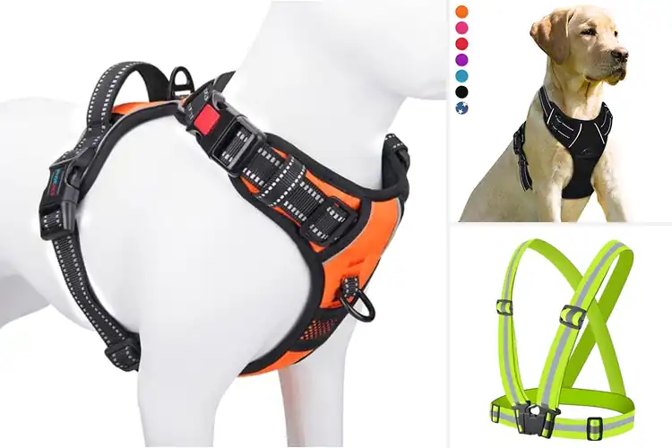 Detailed view of Best Reflective Harnesses for Safe Night Walks