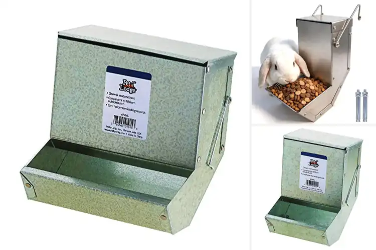 Detailed view of Best Secure Small Animal Feeders