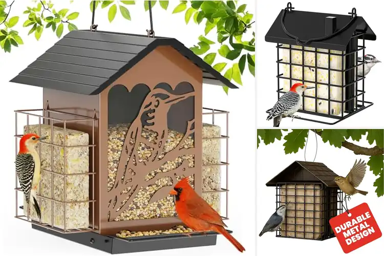 Detailed view of Best Side By Side Feeders: Top 6 Picks for Bird Lovers
