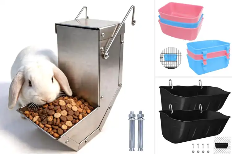 Detailed view of Best Small Animal Feeders: Top Picks for Happy, Healthy Pets