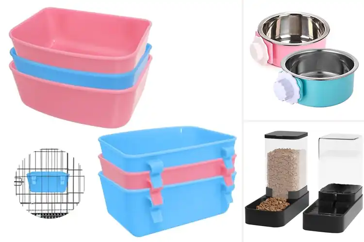 Detailed view of Best Small Animal Food Feeders