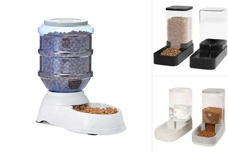 Detailed view of Best Small Pet Feeders: Top 10 Easy Picks