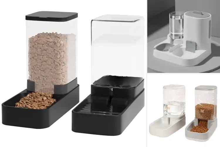 Detailed view of Best Small Pet Food Dispensers: Simple&Stress‑Free Feeding