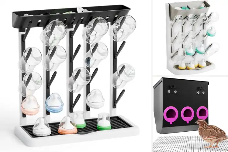 Detailed view of Best Space-Saving Feeders