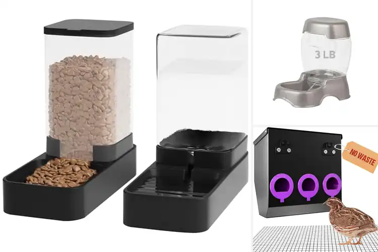 Detailed view of Best Space Saving Food Feeders: 10 Smart Picks