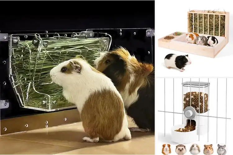 Detailed view of Best Space Saving Guinea Pig Feeders