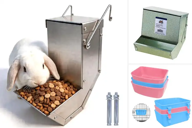 Detailed view of Best Space Saving Small Animal Feeders