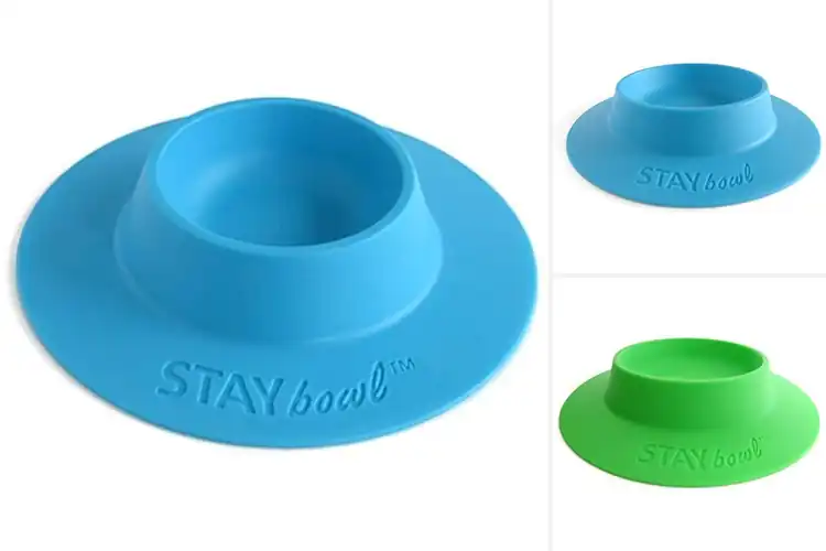 Detailed view of Best Spill Proof Guinea Pig Feeders